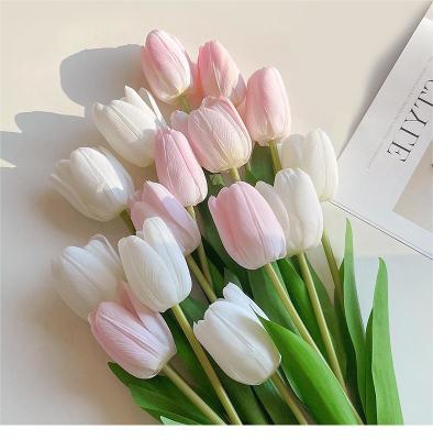 Cina OEM Freschi di tulipani secchi per matrimoni in vendita