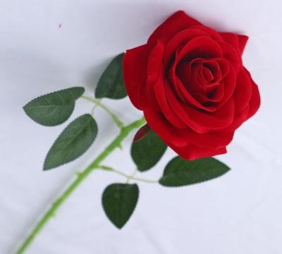 China Rosas vermelhas Flores de seda artificial Ornamentos Decorações de sala de estar Oem à venda