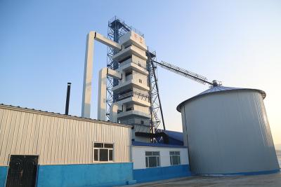 중국 일 곡물 탑 건조기 옥수수 밀 콩 연속 교류 건조기 당 600 톤 판매용