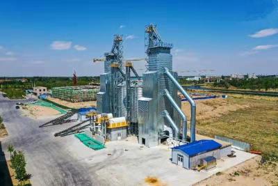Chine 100 - Dessiccateur de grain continu de longévité élevée de dessiccateur de tour de grain de 1200 T/D à vendre