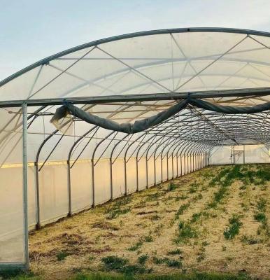 Китай Солнечная теплица для посадки капусика Продвинутый метод выращивания овощей продается