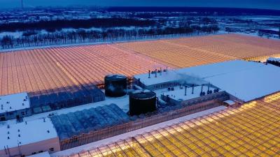 中国 円形屋根 菌類栽培 日光温室 パッケージ 総重量 1000,000kg 販売のため