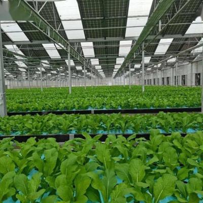 China Multi-Span Arch Type PE/Po Plastic Film Photovoltaic Solar Greenhouse for Performance for sale