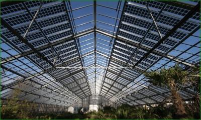 China Thermal Insulation Commercial Photovoltaic Greenhouses Customization Option Offered for sale