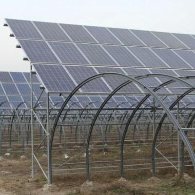 China Greenhouse Heat Preservation with Large Capacity Storage and Photovoltaic Panels for sale