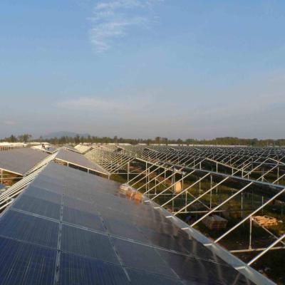 China Hydroponic Ventilation Photovoltaic Greenhouses 6/9 and 6/12 Meters for Crop Production for sale