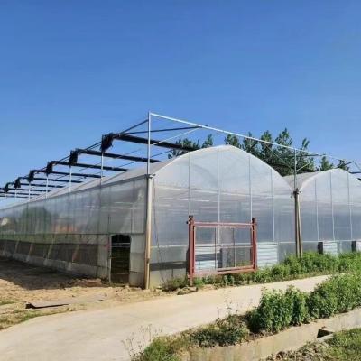 China Steel Structure Multi-Span Plastic Greenhouse Package Size 50.00cm * 60.00cm * 50.00cm for sale