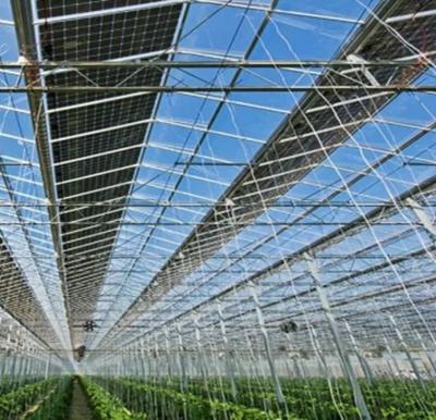 China Heat Storage Single-Arch Commercial Photovoltaic Greenhouses Long-Lasting Performance for sale