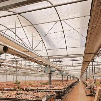 China Vegetable Production Po Film Greenhouse with Water Pipe System and Low Shipping Cost for sale