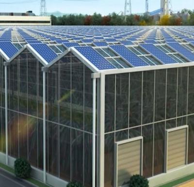 China Commercial Photovoltaic Greenhouse with Film Cover Material and Unheated Heating for sale