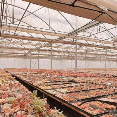 China Multi-Span Tunnel Po Film Greenhouse 30 Days Return Refunds US Currency Greenhouse for sale
