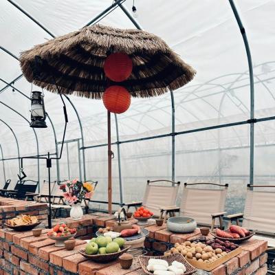 China Steel Structure Large Advand Shading Greenhouse for Hydroponics Growingce Large Size for sale