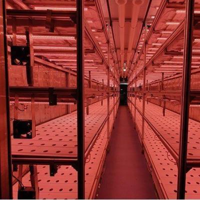 Китай Вертикальная ферма Контейнерная теплица в судоходных контейнеров дизайн продается