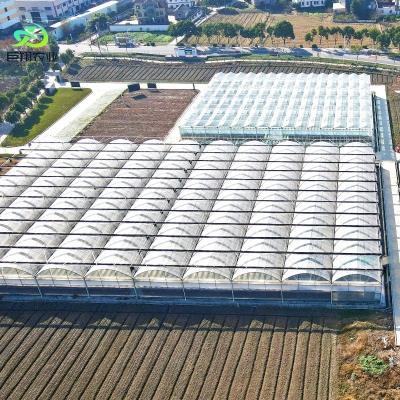 China Método de calefacción continua y cultivo en túnel Invernadero agrícola de película de plástico en venta