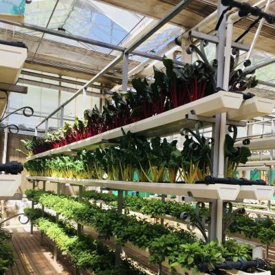 China Hydroponic Glass Greenhouse for Flower Cultivation 30-Day Return Refunds a Type Roof for sale