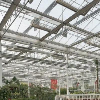China High Light Transmission Glass Hydroponic Greenhouse for Commercial Flower Growing US for sale