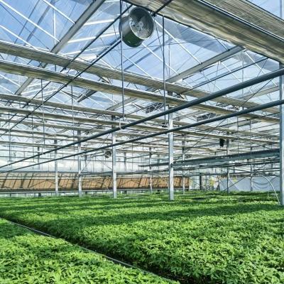 China Double Layer Multi-System Glass Greenhouse for Flower Growing Initial Payment Required for sale