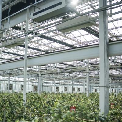 Chine Serre en verre à haute transmission lumineuse pour les fleurs Paquet Poids brut 100.000 kg à vendre