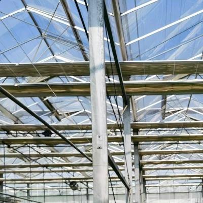 China A Type Roof Glass Greenhouse for Hydroponic Vegetables Optimal Growing Conditions for sale