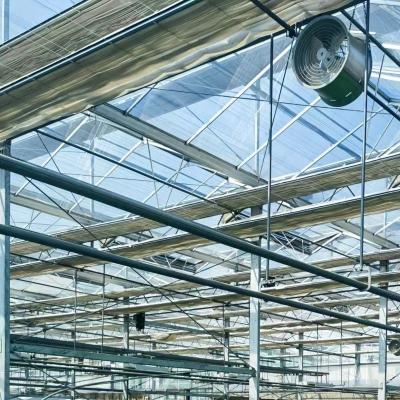 China Sistema hidropónico de invernadero de vidrio de doble capa con integración de tecnología de múltiples tramos en venta