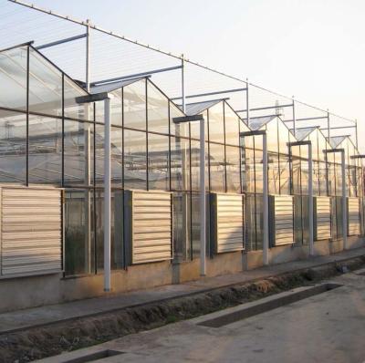 China Sistema de pantalla de sombreado para el cultivo de árboles vegetales Invernadero con estructura de acero en venta