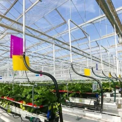 China Sistema hidropónico de techo para vegetales de invernadero de vidrio en venta