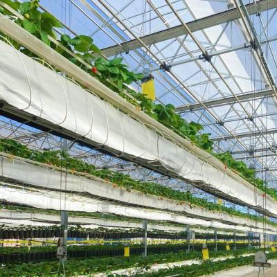 Китай Гидропонная система выращивания Стеклянная теплица для двухслойной крыши Форма типа крыши продается