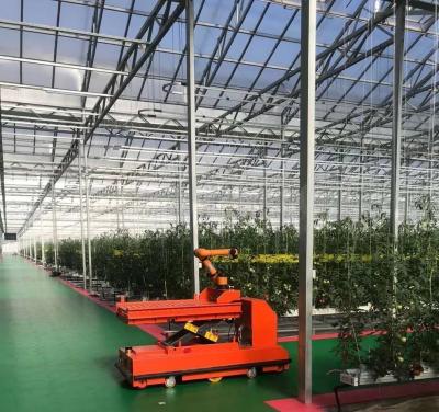China Estufas para plantação de vegetais de duas camadas com irrigação por gotejamento e estrutura de aço à venda