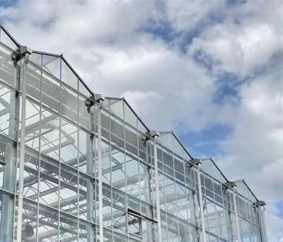China Tipo de sistema de cultivo hidropónico de techo adecuado para los requisitos de su cliente en venta