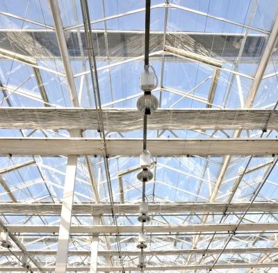 中国 屋根 形 多伸縮型 ガラス温室 水栽培 販売のため