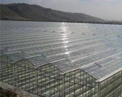 China Buena transmisión de luz de vidrio de cubierta de invernadero Venlo con opción de personalización en venta
