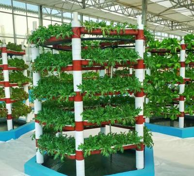 Chine Environnement contrôlé pour les semences/légumes/fruits/fleurs Serre hydroponique pour les semis à vendre