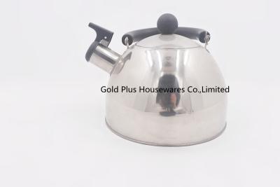 Cina 500g Superior kitchen drinkware coffee kettle thermos flask kettle modern new tea kettle with handle in vendita