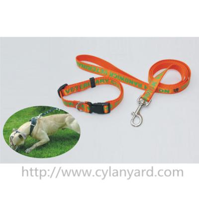 China Where to buy dog collars and leashes? China factory imprinted outdoor dog collar and lead, for sale