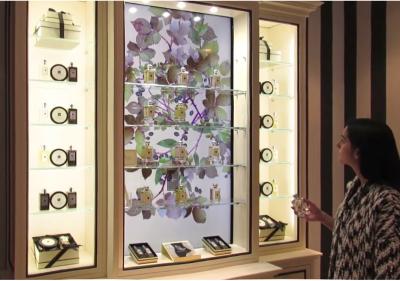 China Customized Interactive Showcase Interactive Display Case For Shopping And Museum for sale