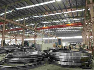 China Huge Size  Slewing Ring Bearing For Deck Crane, Wind Power equipment for sale for sale