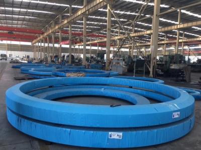 China OEM huge Size  Gear Slewing Ring bearing For Crane , Mining , heavy equipment, instruction project for sale