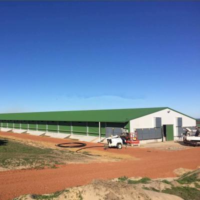 China Great color structure steel fabrication horse barn and chicken farm with CE Prefab House for sale
