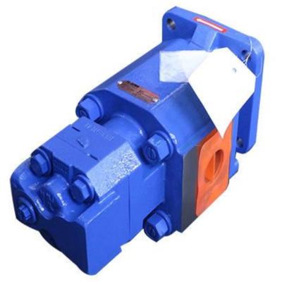 China 803090047 XCMG Machine Parts Hpt3-100p124-10r 1163102642A Hydraulic Double Pump for sale