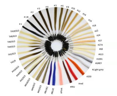 Chine Anneau de couleur d'extension de cheveux de Suborui, anneau d'échantillon de couleur des cheveux 180g à vendre
