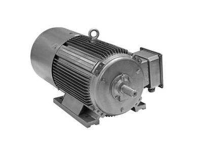 China IP55 Ultra High Efficiency Electric Motor , YE4 Series 3 Phase Induction Motor for sale