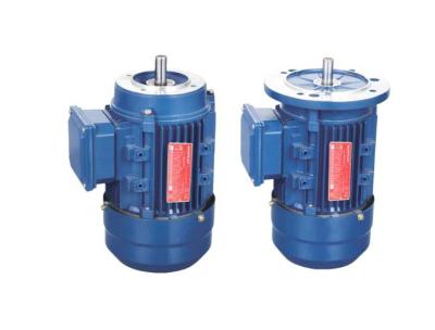 China Three Phase Electric Motor / Asynchronous Motor MS Series With Aluminum Housing for sale