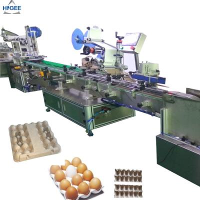 中国 卵のプラスチックの箱が付いている皿のカートン箱の分類機械、卵の保護装置箱の卵の砂箱が付いている平らな分類機械に卵を投げつけて下さい 販売のため