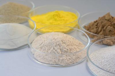 Quality Food Grade Catalase Used In Textile Paper Electronics Environmental Protection for sale