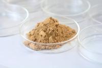 Quality Neutral Protease Industrial Enzyme Used In Feed / Leather Dehairing And Softening for sale