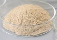 Quality Esterification Transesterification Lipase Powder Bioenergy Enzyme PH Range 2.5 for sale