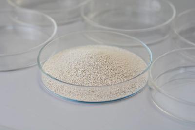 Quality Lipase Leather Enzyme Used In Oil And Fat Processing / Leather / Washing / Paper for sale