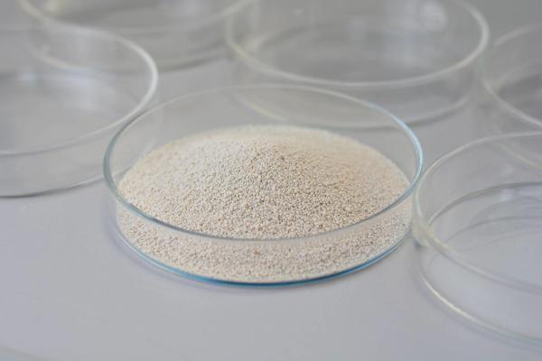 Quality Lipase Leather Enzyme Used In Oil And Fat Processing / Leather / Washing / Paper Making for sale