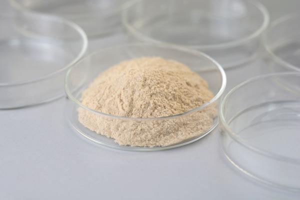 Quality 100000-800000U/G Esterification Transesterification Lipase Powder / Liquid for sale