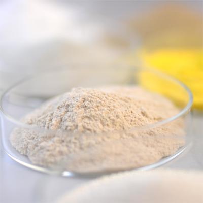 Quality Thermostable Alkaline Protease Protein Enzyme Be Used In Food Fields for sale